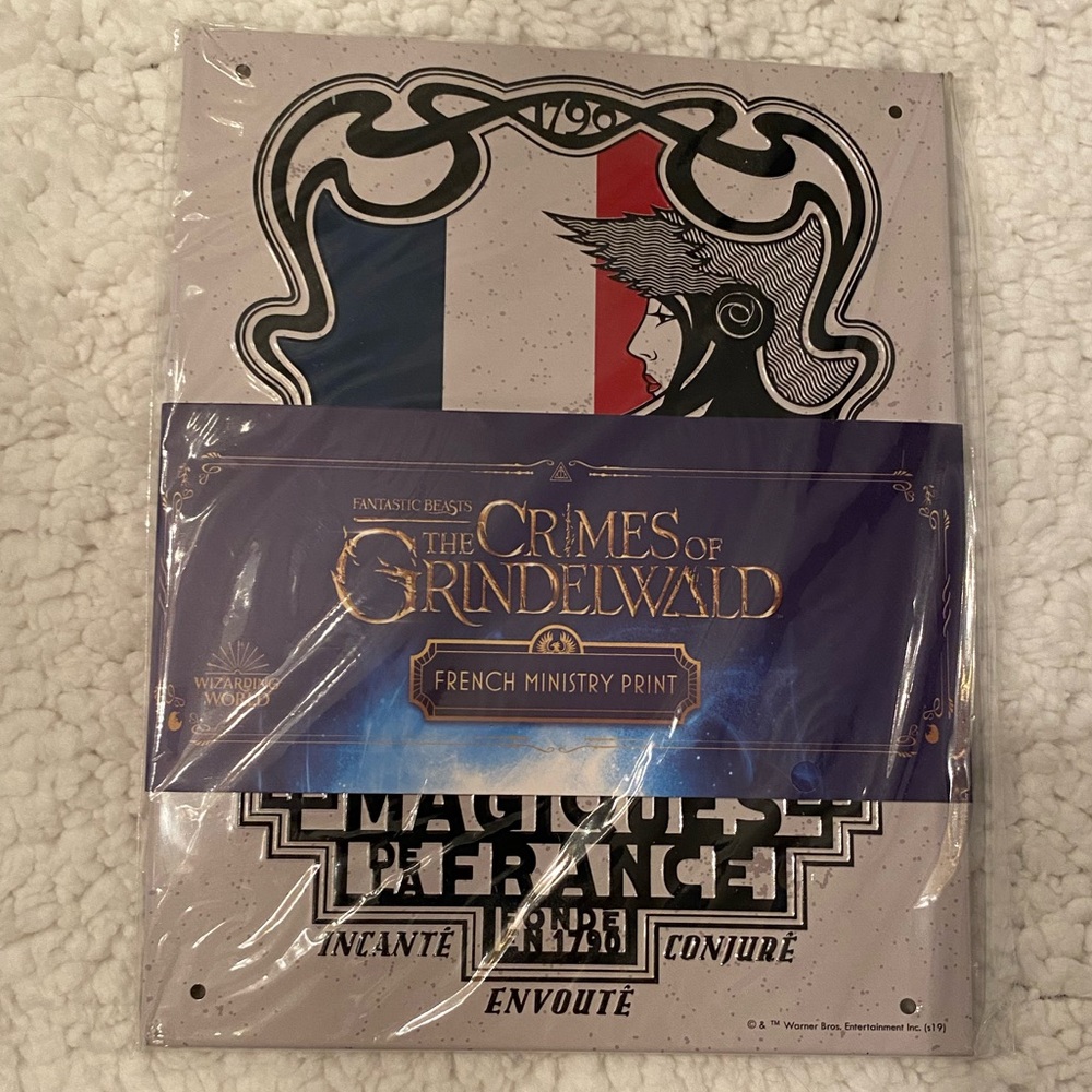 NWT Fantastic Beasts French Ministry Metal Print